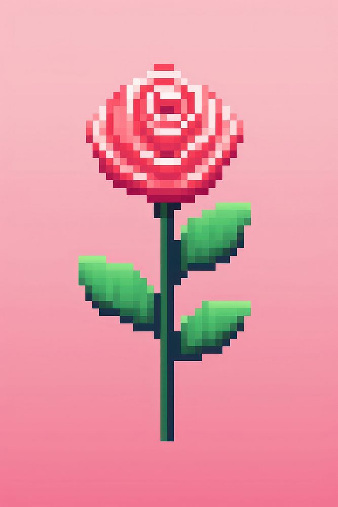 Rose flower pixel art graphics plant.