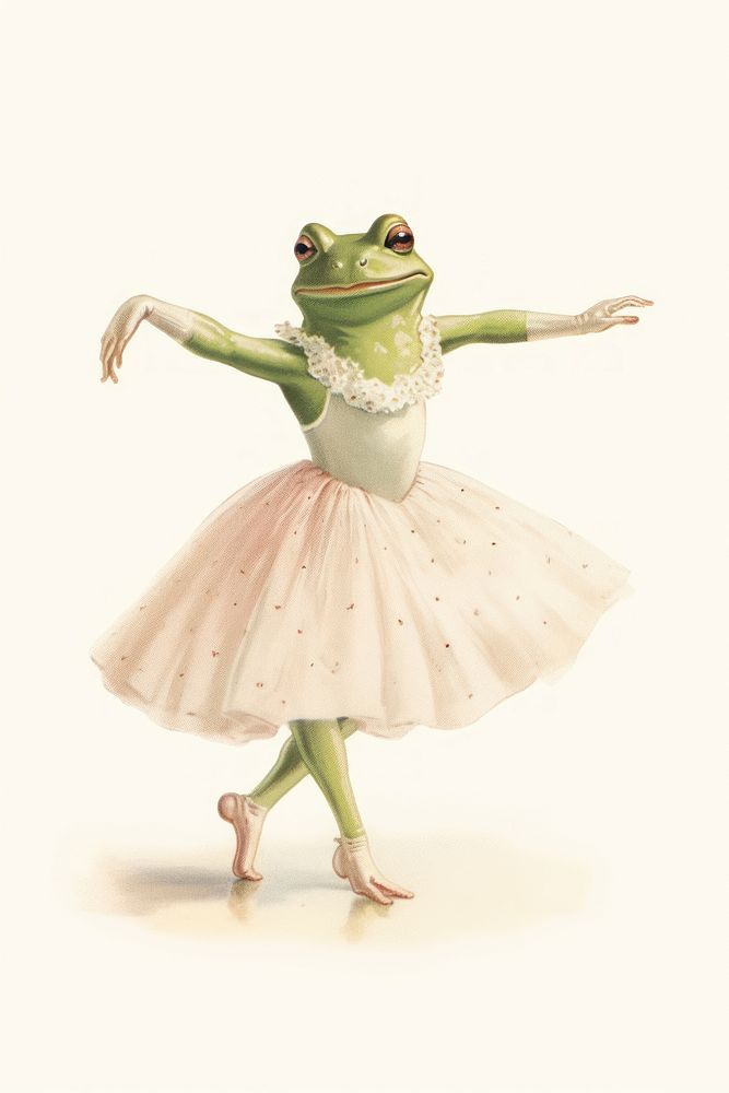 Ballet frog amphibian wildlife.