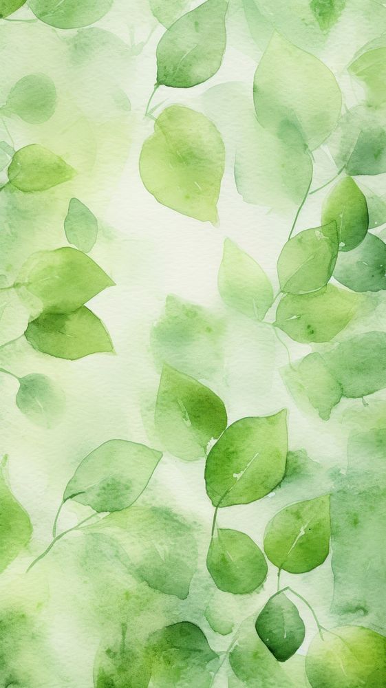Wallpaper Green leaves green plant leaf.