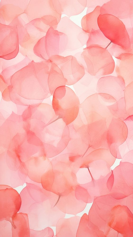 Wallpaper rose petals plant backgrounds abstract.