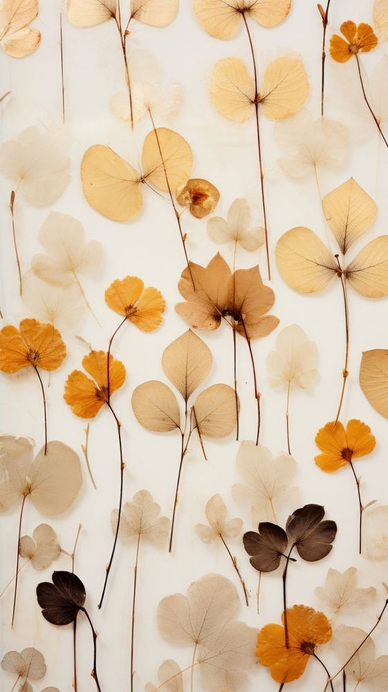 Real pressed leaf flowers backgrounds pattern texture.