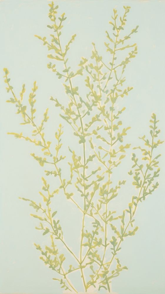 Jumbo thyme branches backgrounds pattern plant.
