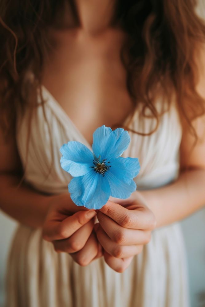 Woman holding blue flower petal plant photo.