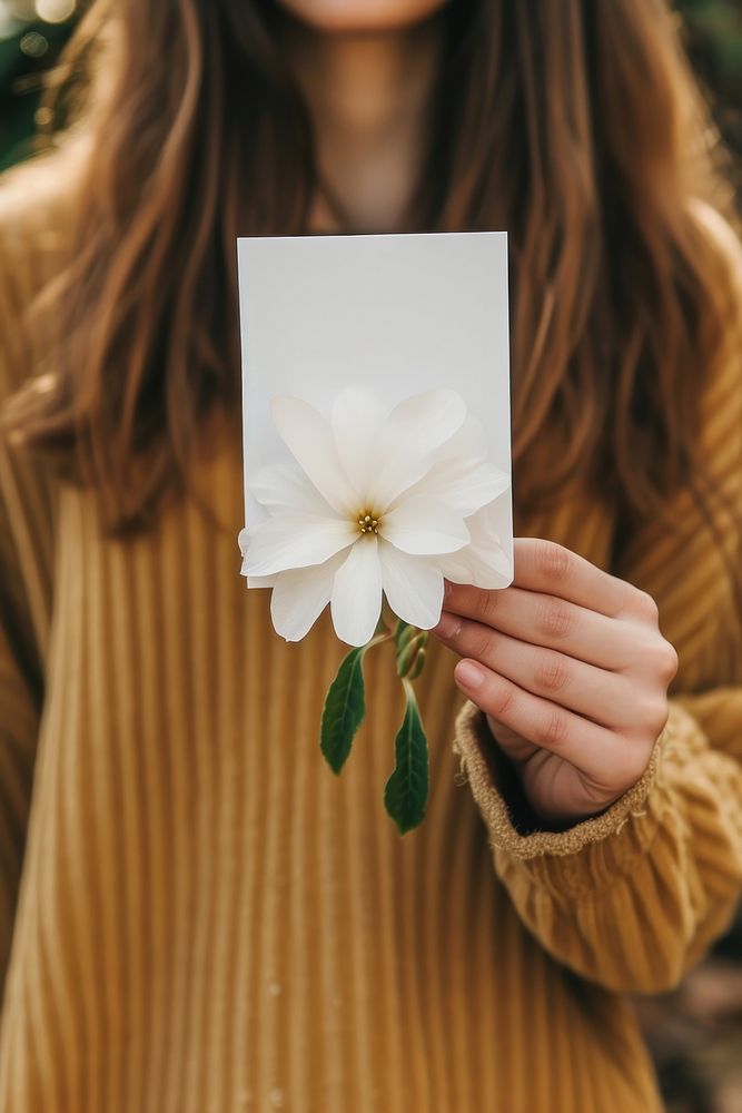 Woman holding white flower plant petal photo.
