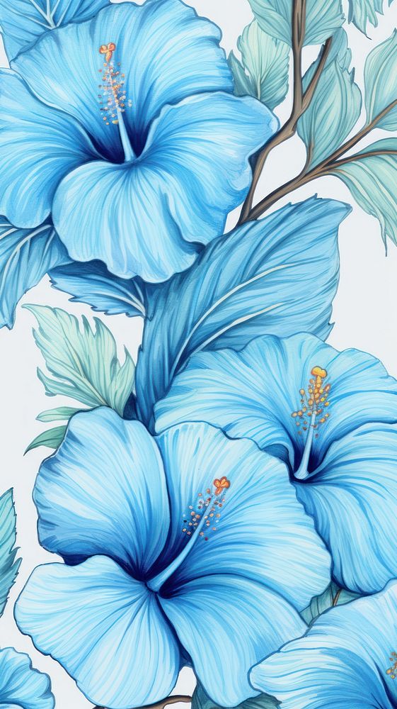 Vintage drawing blue hibiscus flower backgrounds pattern.