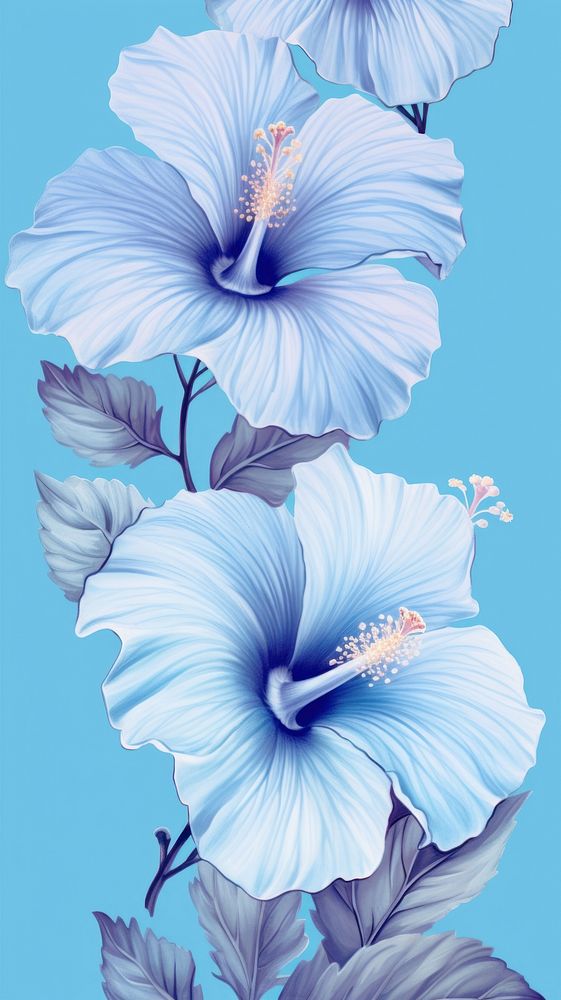 Vintage drawing blue hibiscus flower pattern plant.