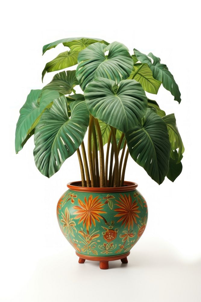 Indoor plant leaf vase white background.