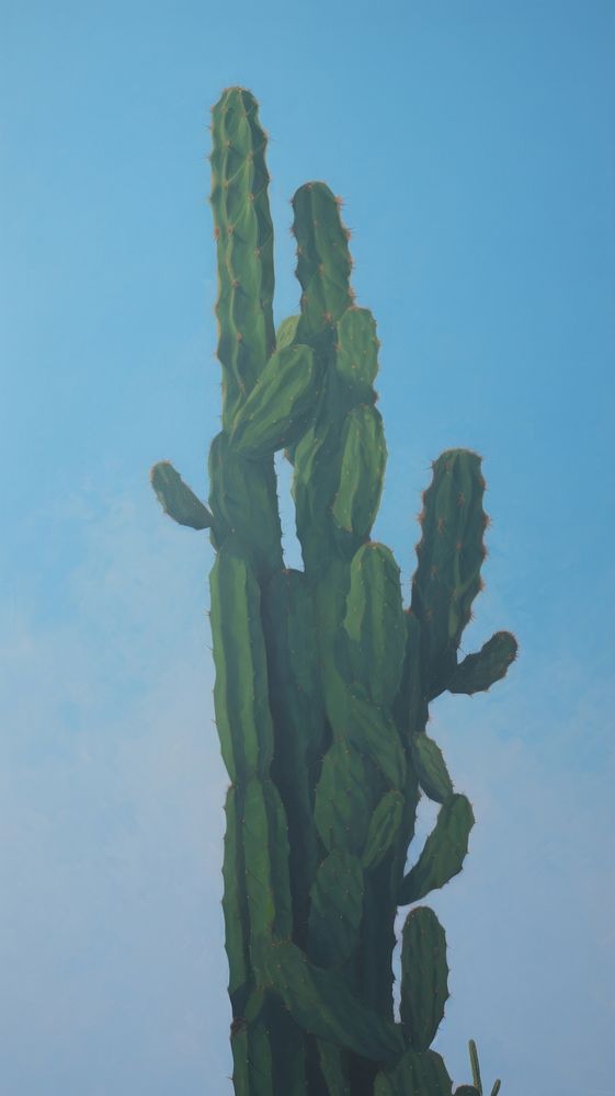 Cactus plant outdoors nature.