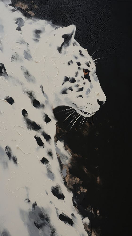 White leopard wildlife animal mammal.