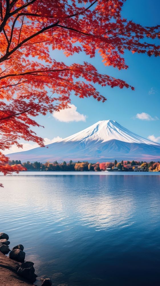 Fuji mountain in autumntime landscape outdoors nature.