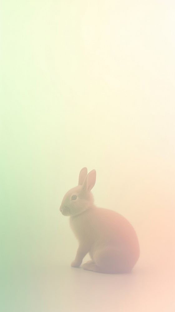 Blurred gradient brown Bunny animal | Premium Photo Illustration - rawpixel