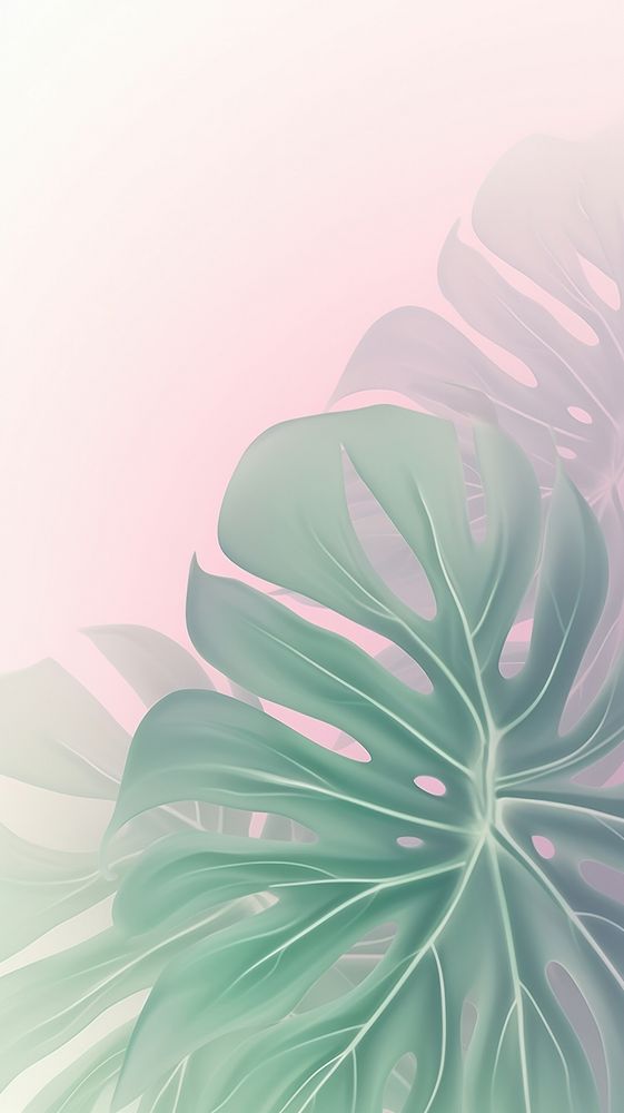 Blurred gradient Monstera leaves backgrounds pattern plant.