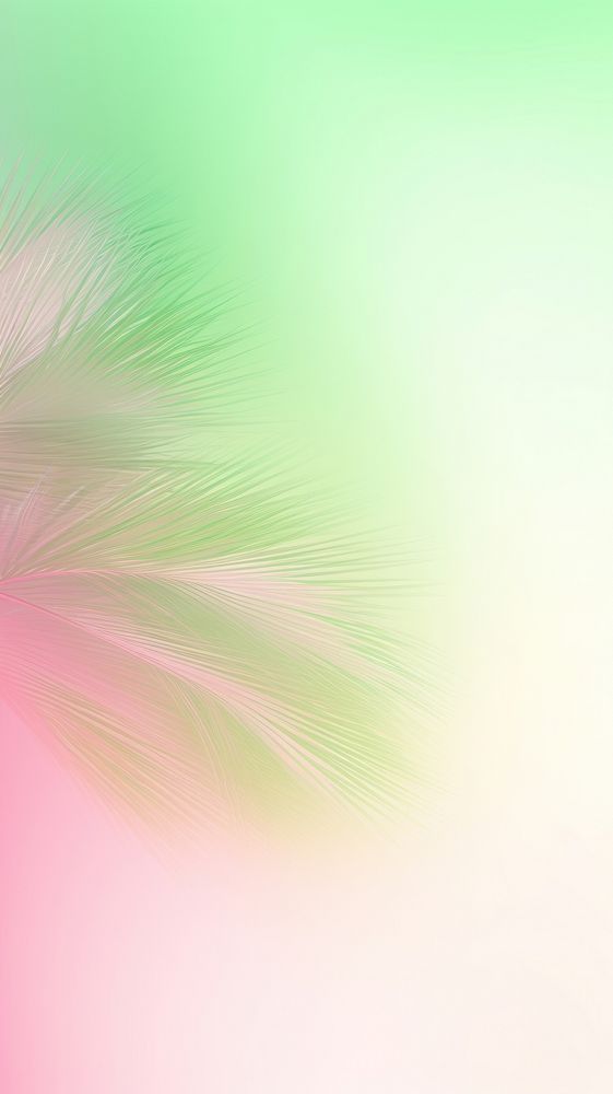Blurred gradient Palm tree backgrounds green light.