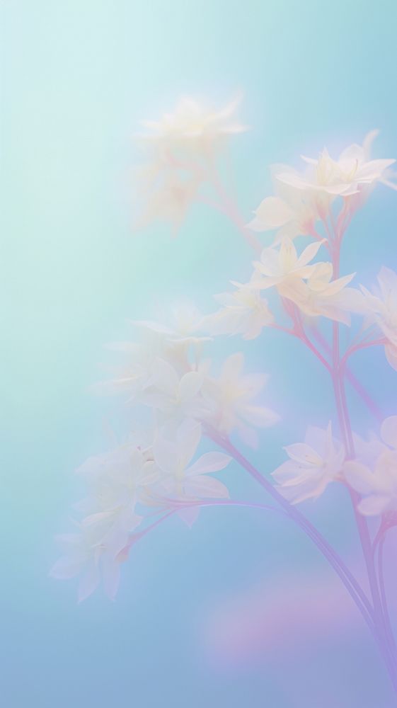 Blurred gradient Spring flowers backgrounds outdoors blossom.
