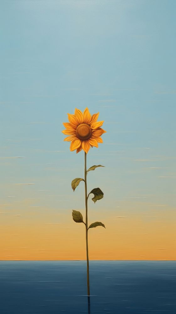 Minimal space sky sunflower outdoors nature.