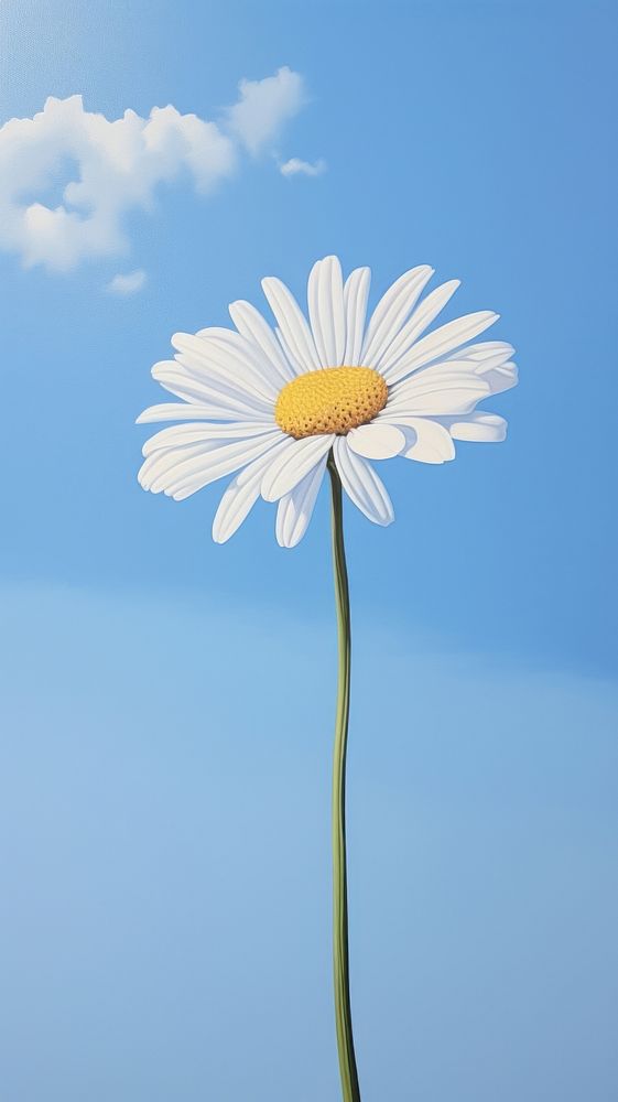 Clear sky with daisy blossom flower plant.