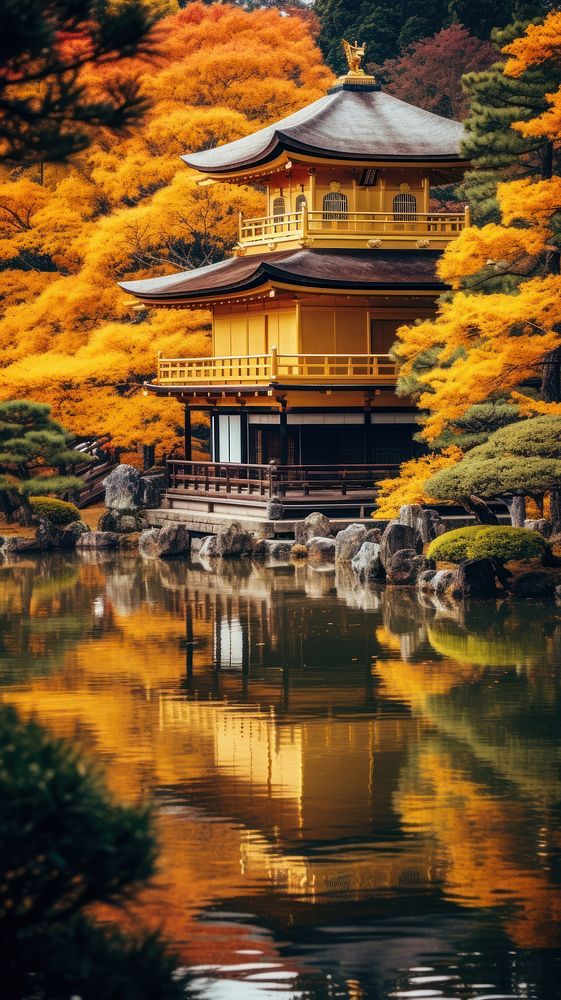 Japanese golden temple in autumn outdoors nature spirituality.