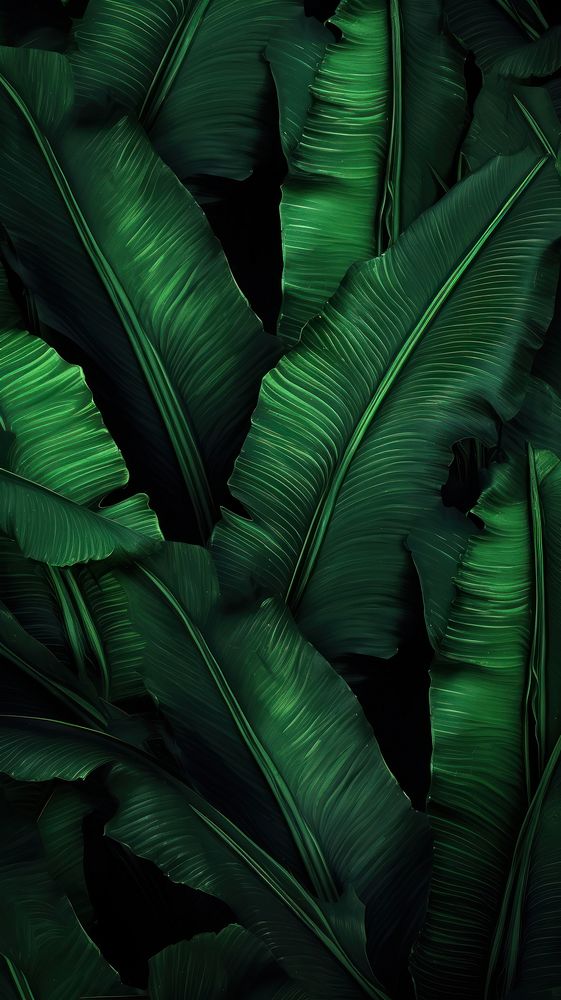 Neon banana leaf wallpaper plant green backgrounds.