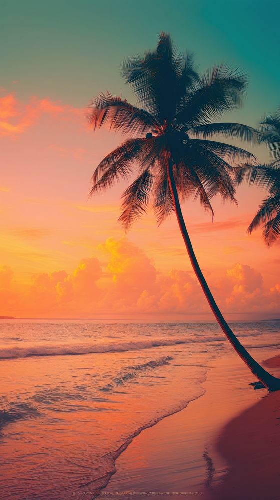 Beach with coconuts trees outdoors horizon nature.