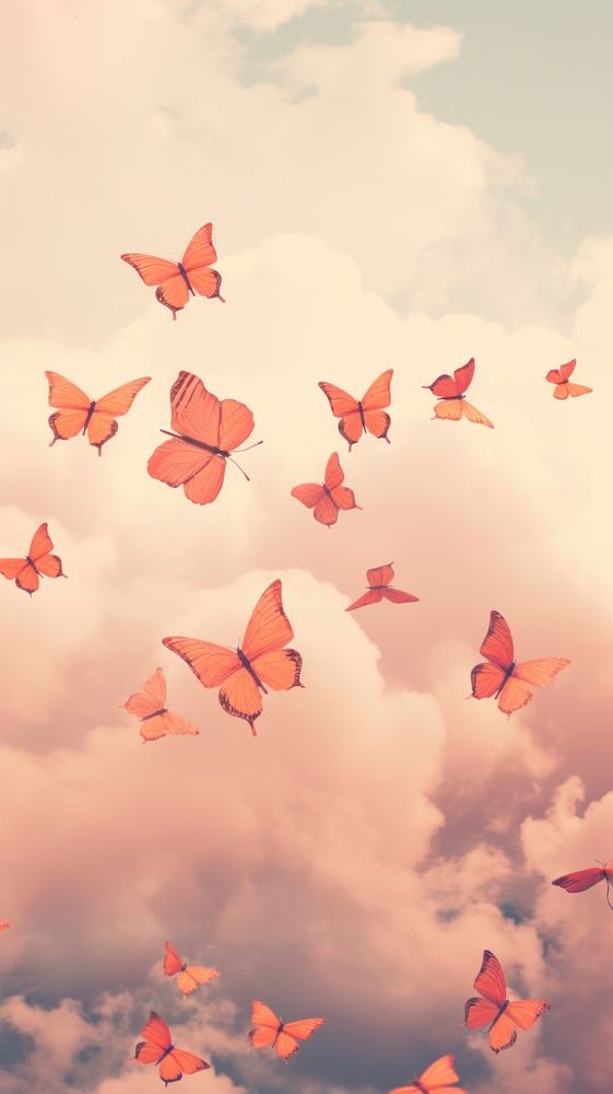 Butterflies flying sky backgrounds.