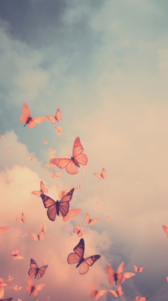 Butterflies flying cloud sky.