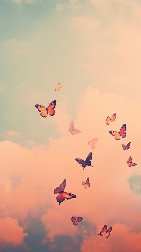 Butterflies flying sky butterfly.