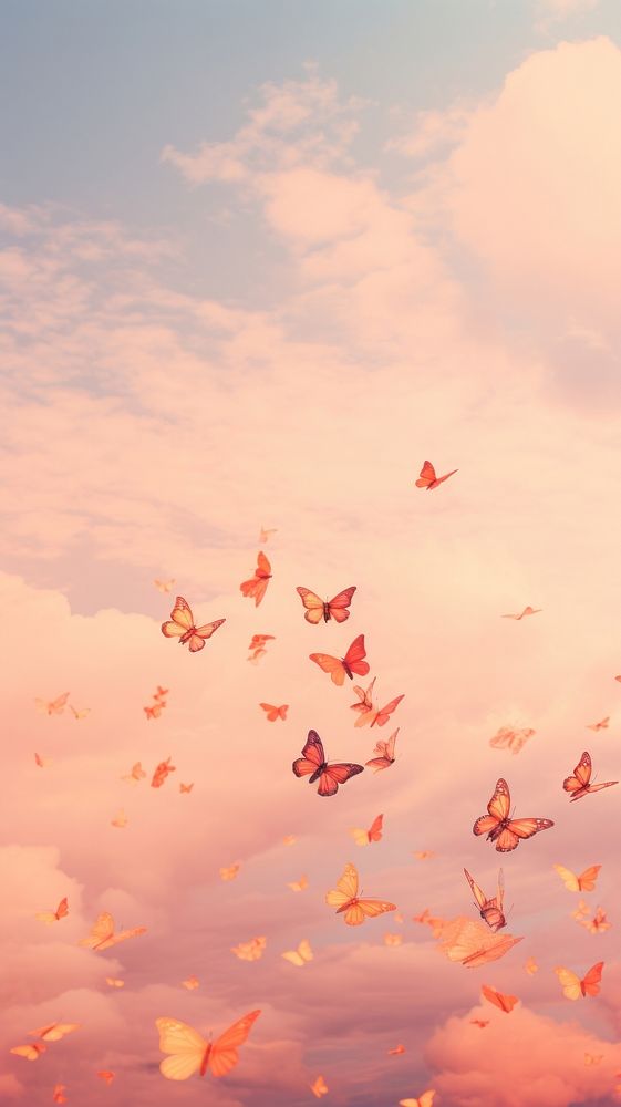 Butterflies flying cloud sky.