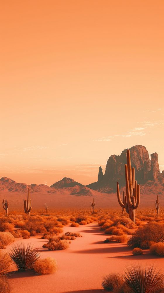 Desert landscape on sunset mountain outdoors nature.