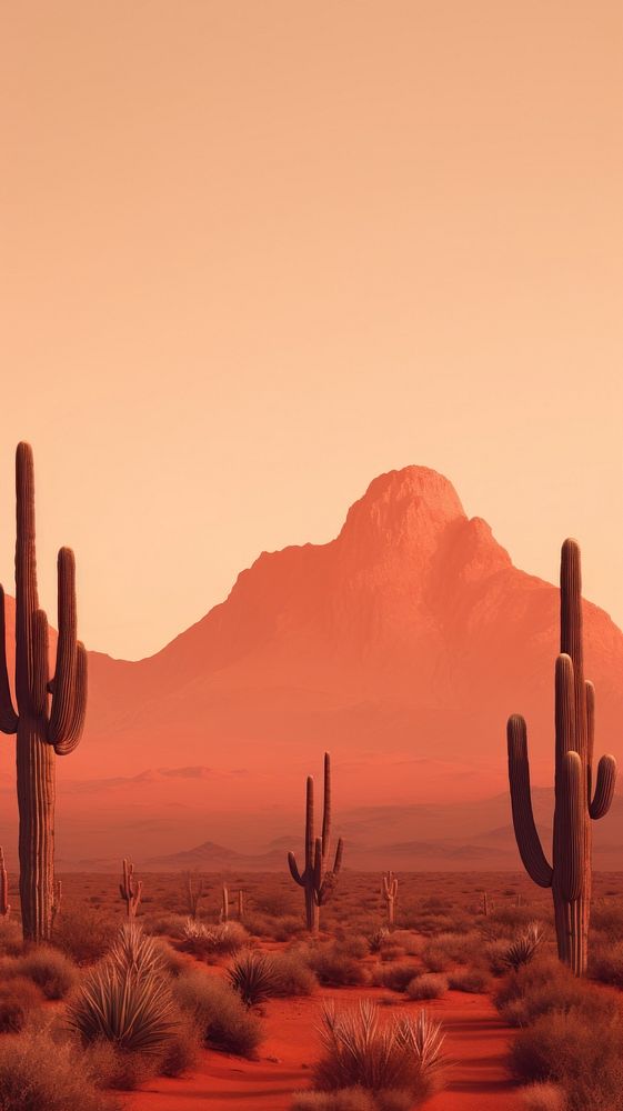 Desert landscape on sunset mountain outdoors nature.