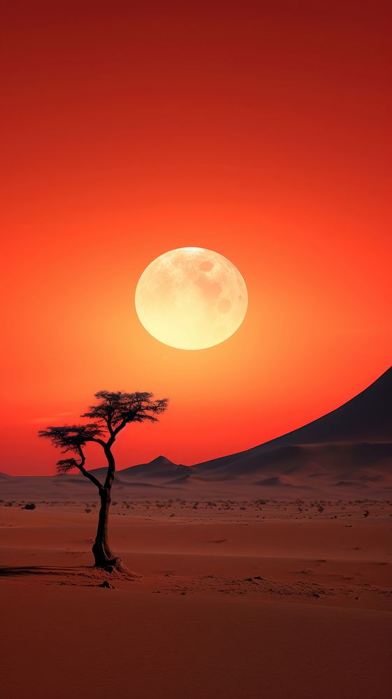 Desert landscape with sunset astronomy outdoors nature.
