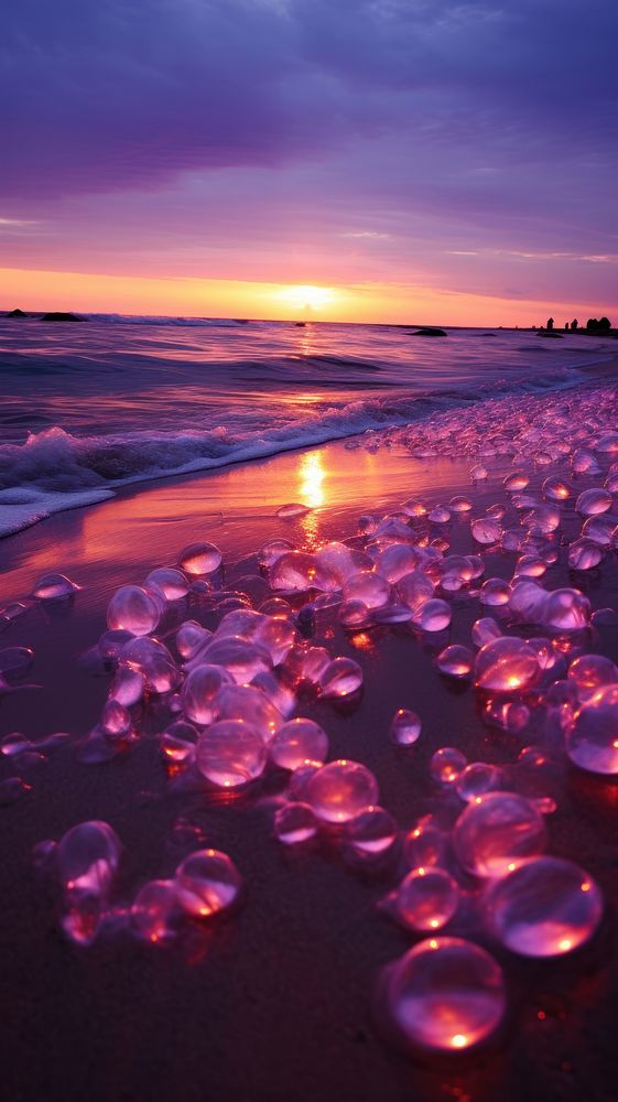 Pink flare glister beach outdoors nature ocean.