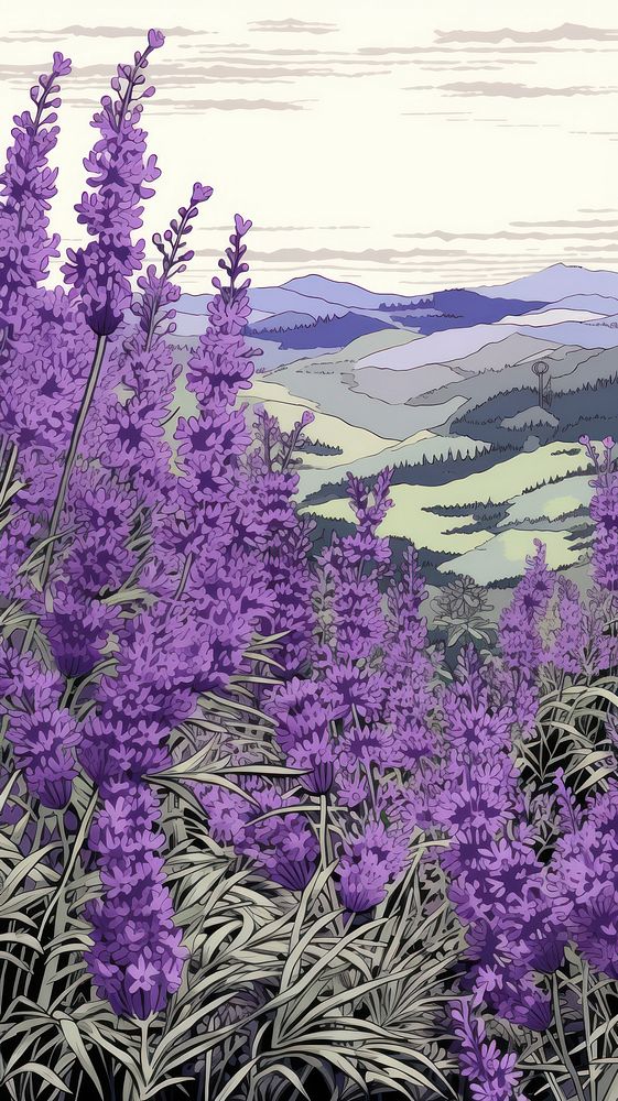 Wood block print illustration of Lavender lavender outdoors blossom.