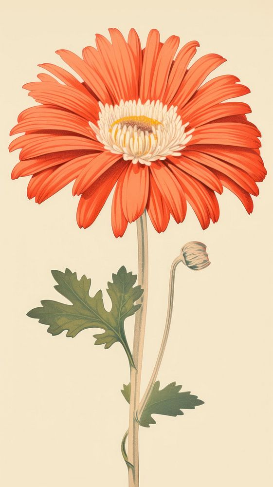 Wood block print illustration of daisy flower plant red.