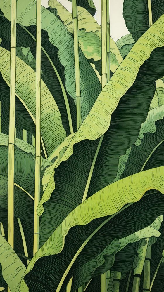 Wood block print illustration of Banana leaf outdoors nature plant.