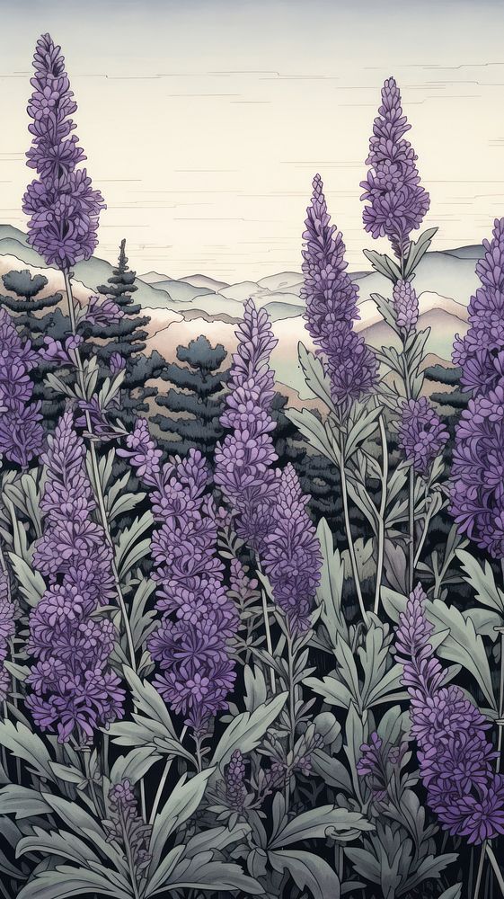 Wood block print illustration of Lavender lavender landscape outdoors.