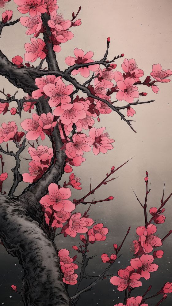 Wood block print illustration of Cherry blossom flower cherry plant cherry blossom.