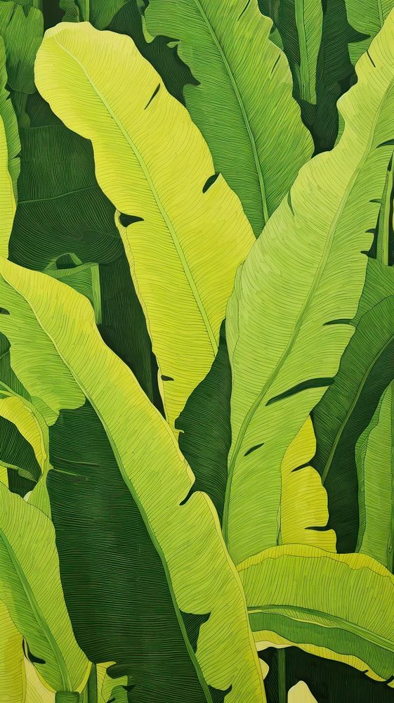 Wood block print illustration of Banana leaf banana plant banana leaf.