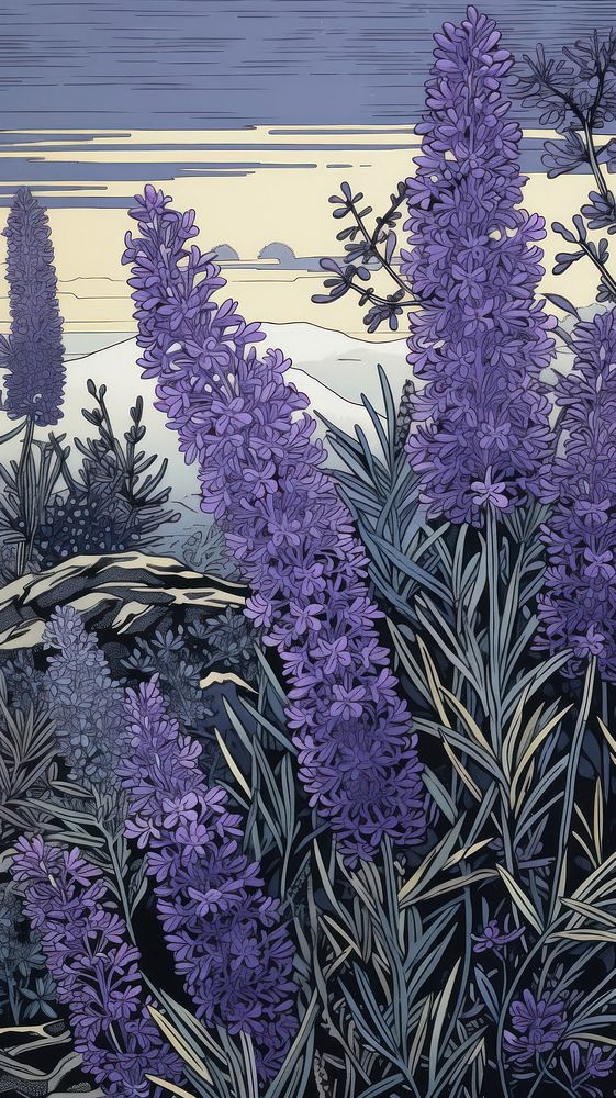 Wood block print illustration of Lavender lavender outdoors nature.