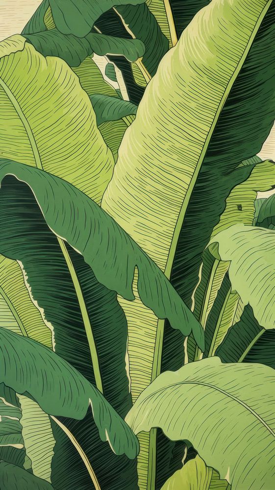 Wood block print illustration of Banana leaf outdoors banana plant.