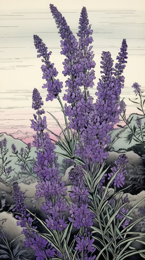 Wood block print illustration of Lavender lavender blossom flower.
