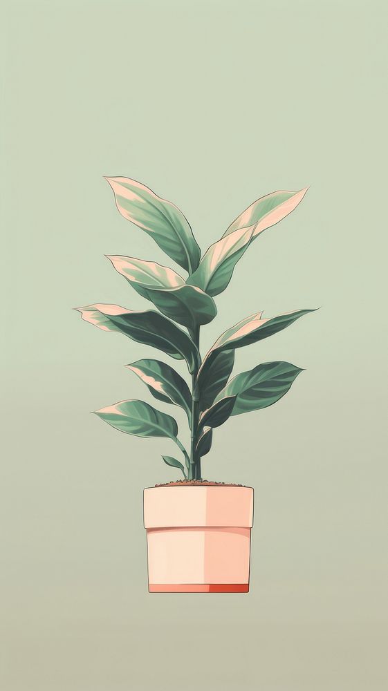 Plant leaf houseplant flowerpot.