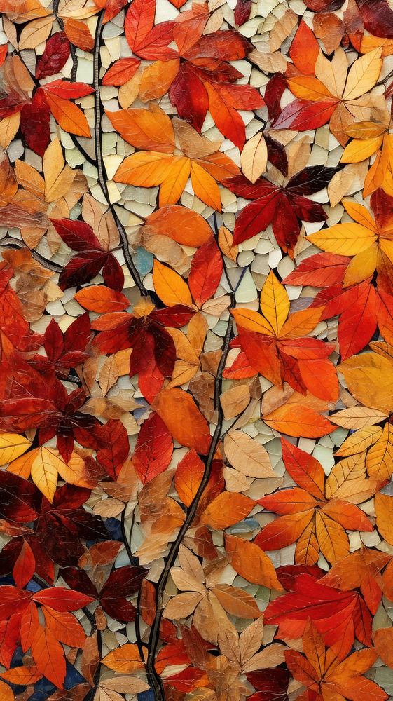 Autumn backgrounds plant maple.