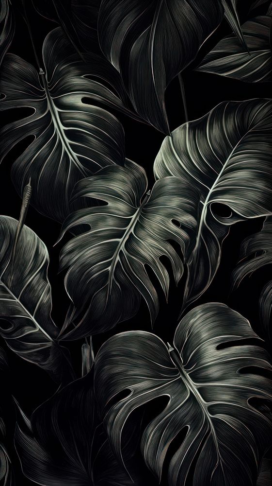 Monochrome Plant plant black leaf.