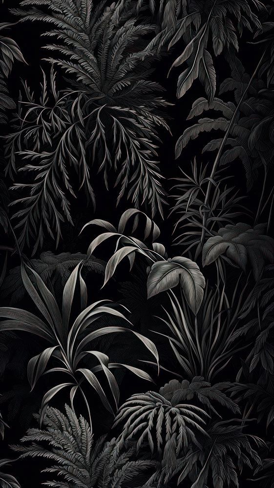 Monochrome Plant plant black backgrounds.