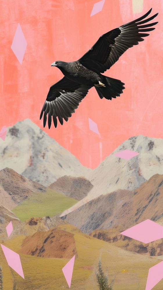 Black kite vulture animal flying.