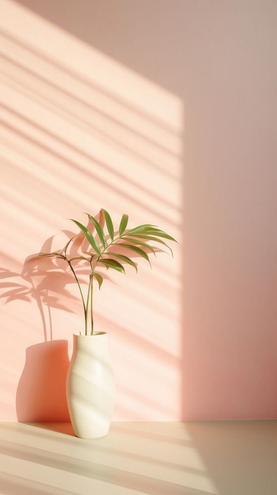 Plant plant shadow vase.