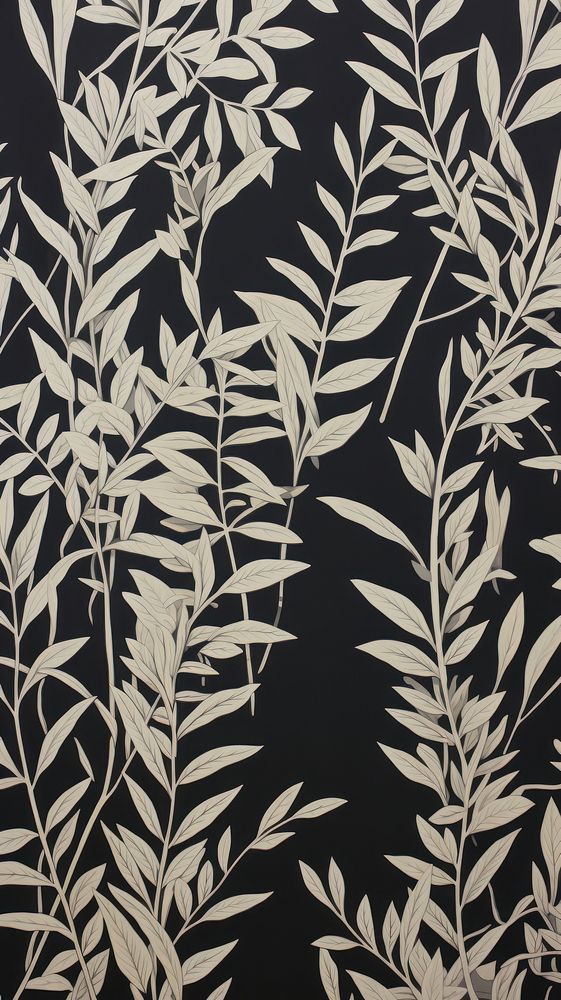 Plant wallpaper plant backgrounds graphics.