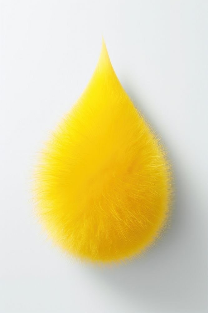 Water drop yellow fur simplicity.