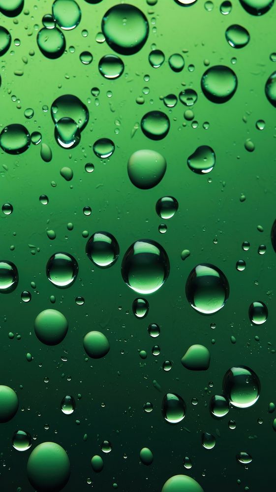 Water drops green condensation transparent.