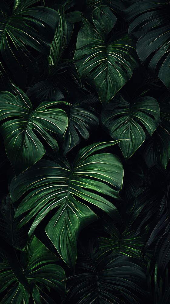 Tropical leaves backgrounds plant green.